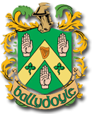 Ballydoyle Crest Image