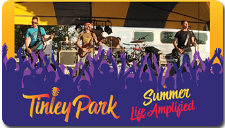 Tinley Park Concert Image